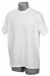 bamboo t shirt