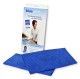 BlueWish®  - All-purpose Antibacterial odour-free cloth with silver inlay (x2)