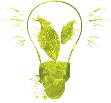 green light bulb trade cleaning products and wholesale